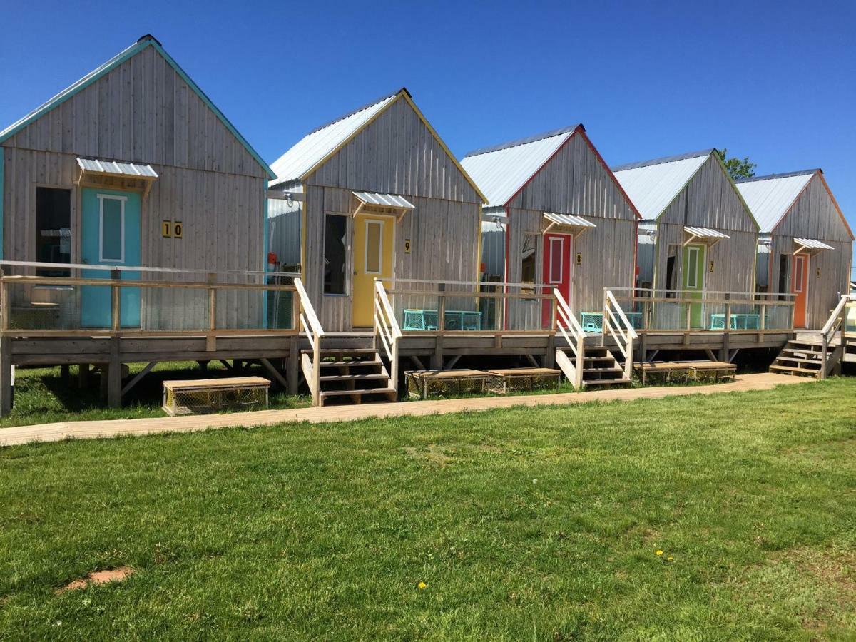 Shantystay Accommodations Саурис Экстерьер фото