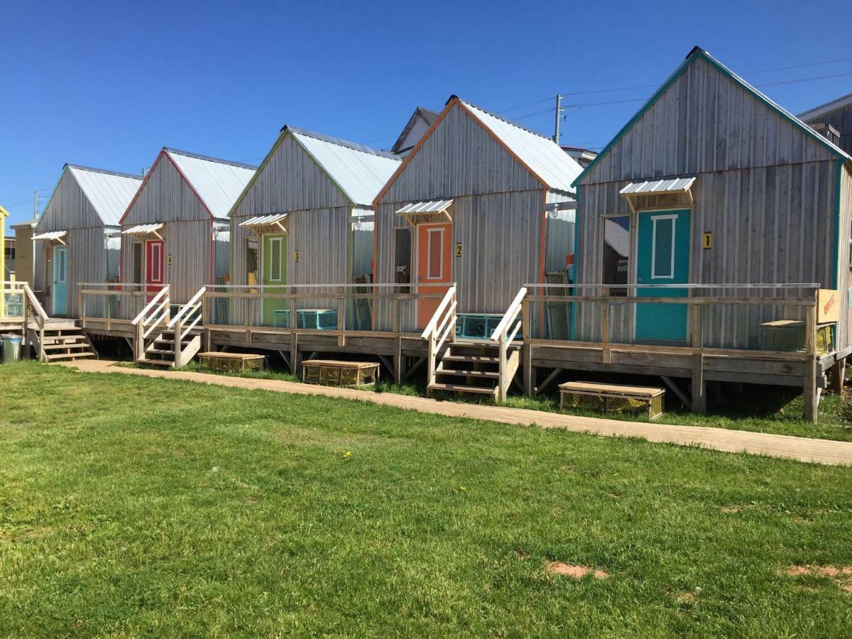 Shantystay Accommodations Саурис Экстерьер фото